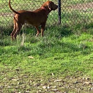 Meet your Posher, Todd